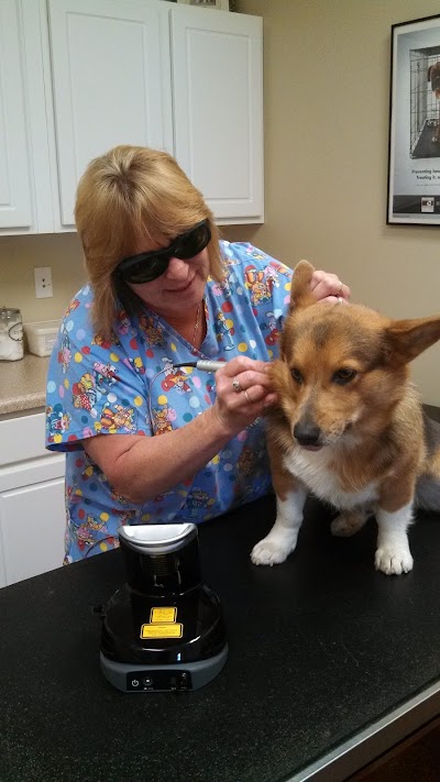 Lee County Veterinary Care