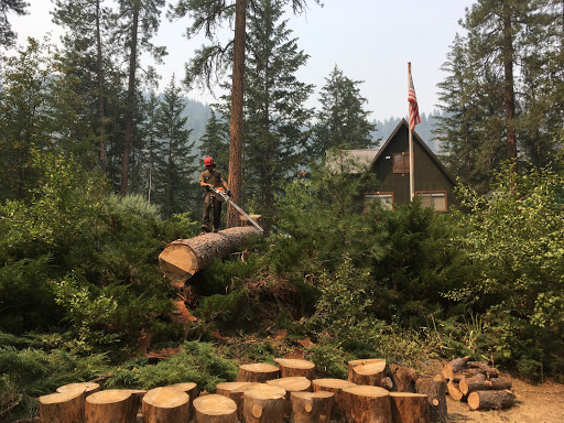 Tumwater Tree Service - Thumbnail