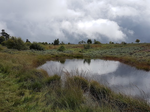 Domaine de Berinzenne