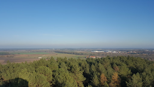 Aussichtsturm auf dem Löwendorfer Berg - Thumbnail