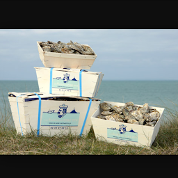 Photo n°53 de Les Huîtres du Père Gus - Bar à huîtres chez l'ostréiculteur à Blainville-sur-Mer (Restaurant de fruits de mer)