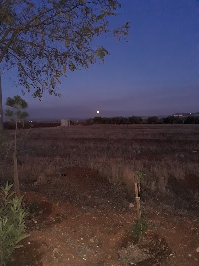 Photos of Gaziantep Havaalanı Oto Kiralama