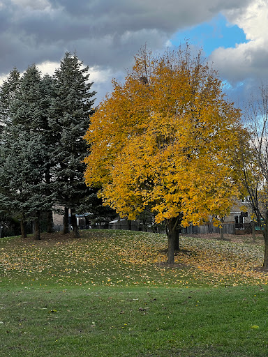 Elson Park - Visual