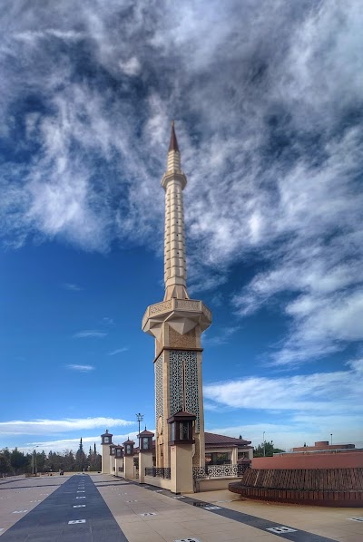 Müftü Ahmet Hulusi Efendi Camii