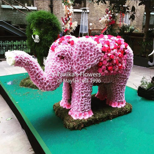 Tanikas Flowers Ltd - Thumbnail