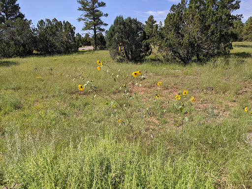 Fool Hollow Lake Recreation Area Campground - Thumbnail