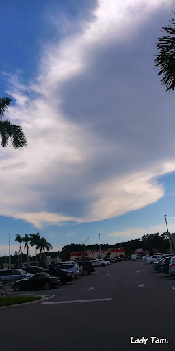 Jacaranda Plaza - Visual