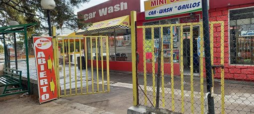 Mini Super Car-Wash "Grillos" - Thumbnail