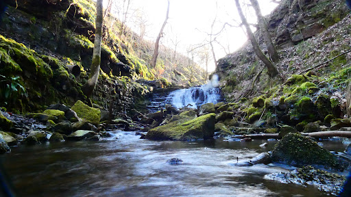 Gorpley Clough - Thumbnail