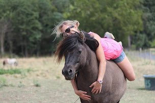 Photo n°22 de Chèvrerie les Chamons à Ménétréol-sous-Sancerre (Agriculteur)