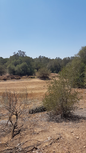 Dehesa la Atalaya - Thumbnail