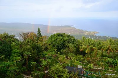 Aloha Ayurveda