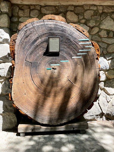 Yosemite Museum - Thumbnail