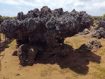Photos of Wasini Island and Kisite Marine Park