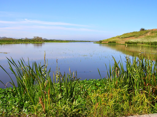 Watsonville Wetlands Watch - United States