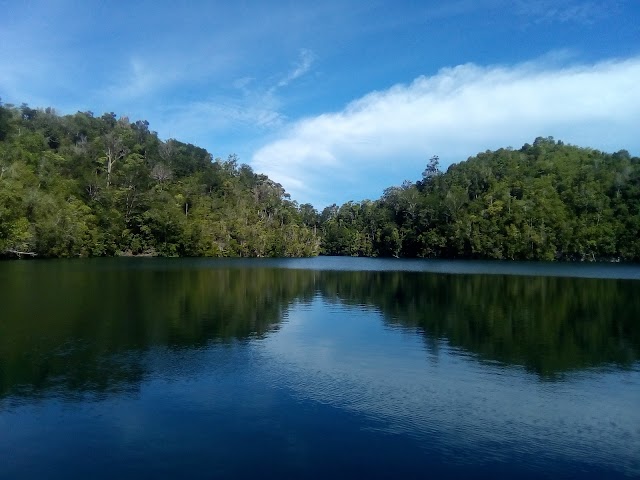 Jelly Fish Lake