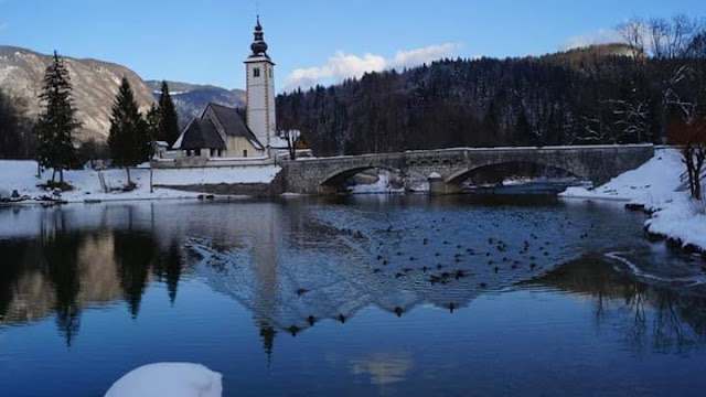 The Bridge
