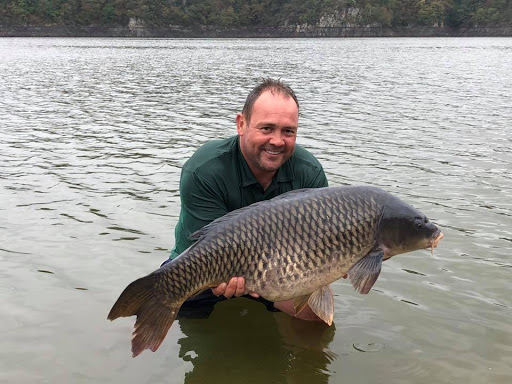 Carp Colours - Visual
