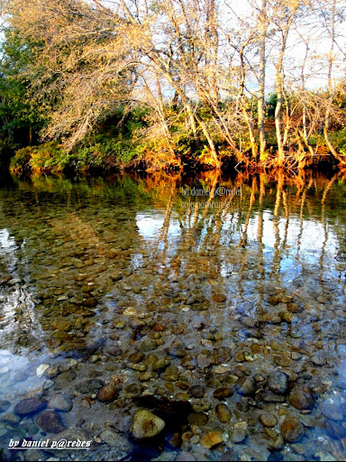 Río Tea Gallery - Spain