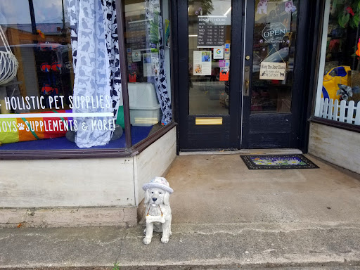 The Southern Pet - Thumbnail