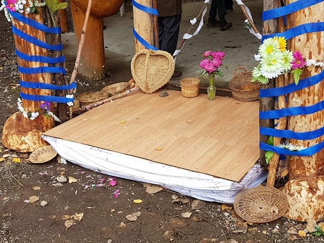 Trapper Creek Inn & RV Park