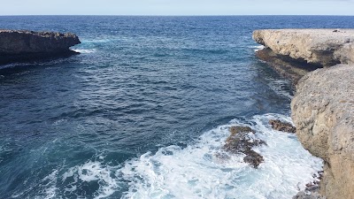 Photos of Boka Grandi