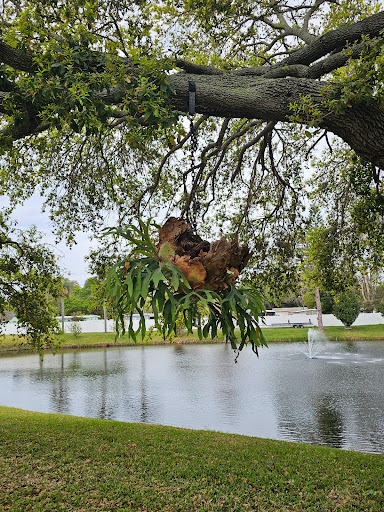 Lake Seminole Resort - Thumbnail