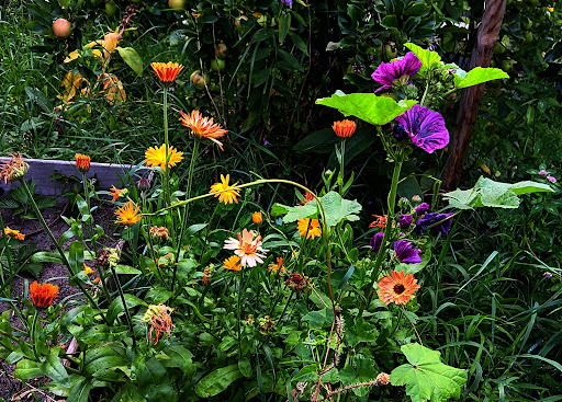 site_photo1
