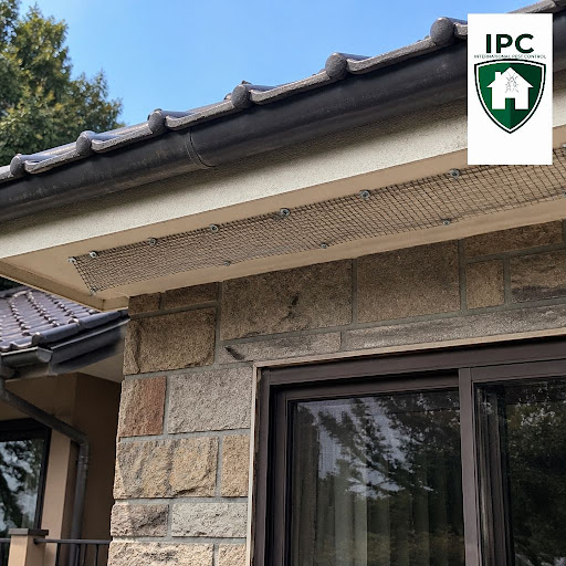 Bats in your bungalow roof or attic can be a serious concern for families in Lonavala. At INTERNA… post image