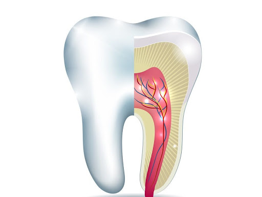 The Dangers of Untreated Dental Infections post image