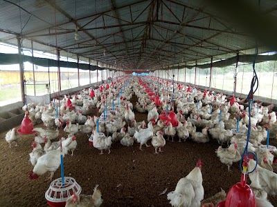 Photos of Sagarmatha Hatchery