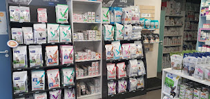 Photo n°2 de Vétérinaire Nice - Clinique Nicea du Dr.Lisbonne à Nice (Vétérinaire)