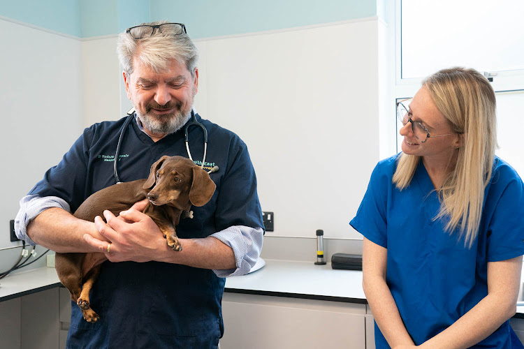 South East Veterinary Referrals