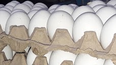 Al sheikh Egg trader dera-ghazi-khan