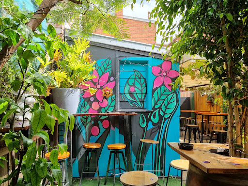 Sloth Bar - Visual