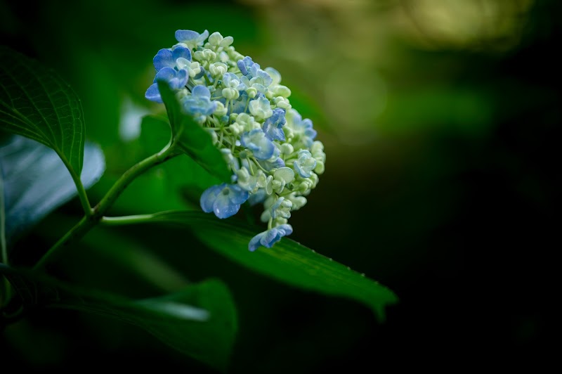 【写真家 橘田龍馬】写真教室カメラ講座