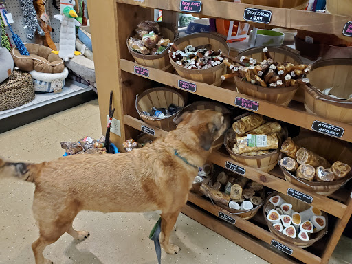 The Pet Stop of Franklin Gallery - United States