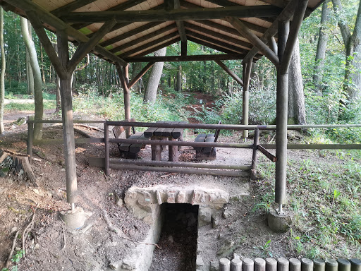 Blankenheim Forest - Thumbnail