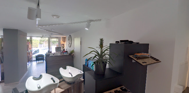 Mühlebergstrasse 2, 8910 Affoltern am Albis