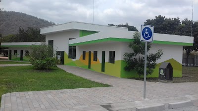stadium