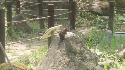 Photos of 치악산대곡야영장