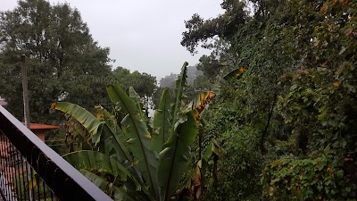 Photos of La Pila Humeda