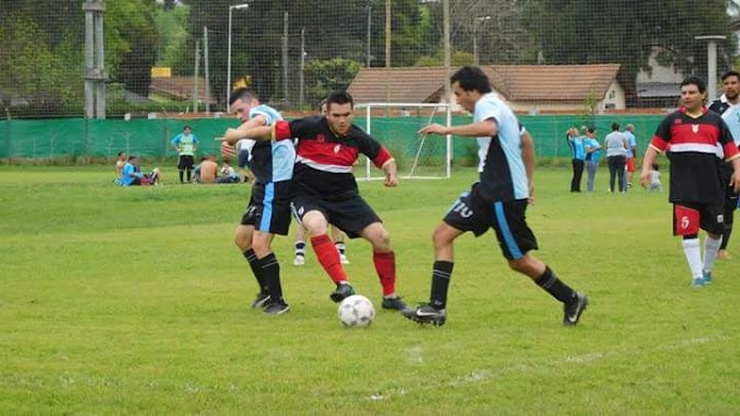 Tortugas Futbol, Author: Mario Alfredo Olmos