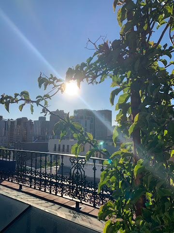 La Rose Bed & Breakfast by null