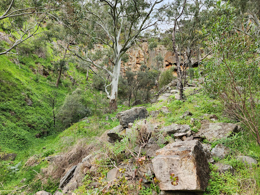 Amber Gully Trail