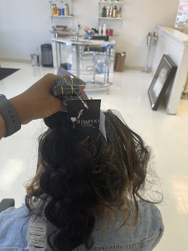 Shampoo Bar - Visual