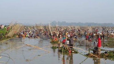 Photos of Jamai Kata Haor