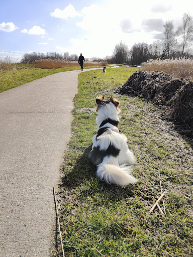 Parkeren Natuurpark NAM De Noorderriet