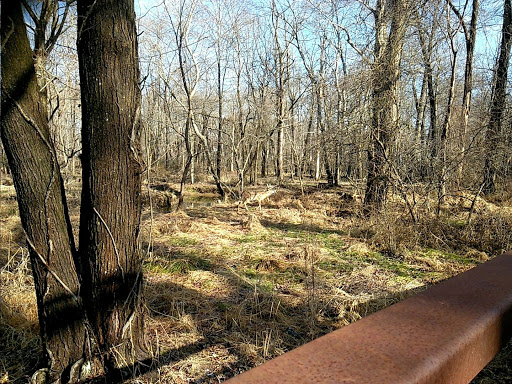 Holmes Run Stream Valley Park - Thumbnail