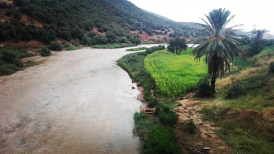 Photos of Fariss ABK